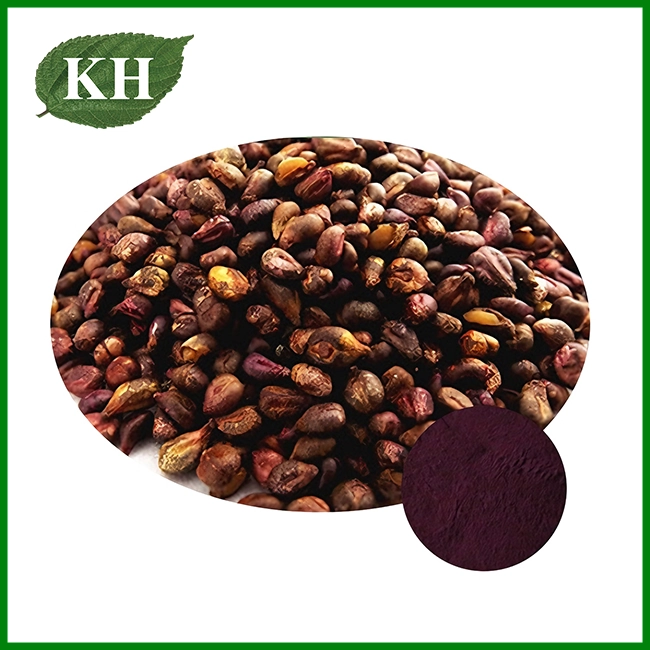 Grape Seed Extract Grape Seed Extract